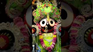 Jagannath bhajana🙏🏿 song [upl. by Ariik]