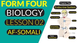 FORM FOUR  BIOLOGY  HORMONES  AFSOMALI [upl. by Meredeth]