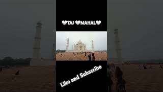 TajMAHAL🕌 Agra ka tajmahal [upl. by Phi]