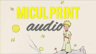 Micul Print cu ilustratiile autorului  carti audio [upl. by Roselane]