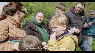 Nature Discovery Day at Hebburn Riverside Park [upl. by Einapets152]