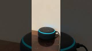 Amazon Alexa supercalifragilisticoespialidoso trending youtubeshorts viralvideo humor [upl. by Alrep823]