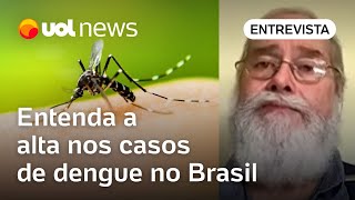 Dengue em alta no Brasil Médico tira dúvida sobre aumento de casos vacinação pelo SUS e mais [upl. by Norreg841]