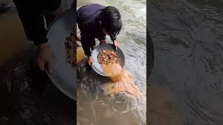 Wow discovery of gold grains in the cracks of rocks on the edge of a clear riverviral mininggold [upl. by Ahders]