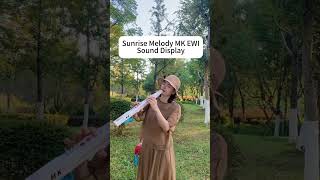 Sunrise Melody MK EWI sound display electronicwindinstrument ewi sunrisemelody [upl. by Allesor368]