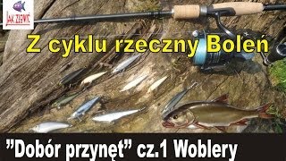 Jak złowić  Z cyklu rzeczny Boleńpart3 Dobór przynęt cz1 Woblery [upl. by Doner]