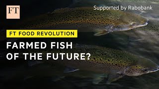 A better way to farm fish  FT Food Revolution [upl. by Anavrin]