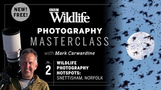 Episode Two Wildlife hotspots Snettisham Nature Reserve North Norfolk  Photography Masterclass [upl. by Kcorb999]