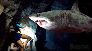 Blind shark can smell teen blood  47 Meters Down Uncaged  CLIP [upl. by Notsew]