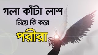 Bhoot Studio FM 944  মানুষের লাশ নিয়ে কি করে পরীরা  Horror Story  JAGO FM 944 [upl. by Ecirtap881]