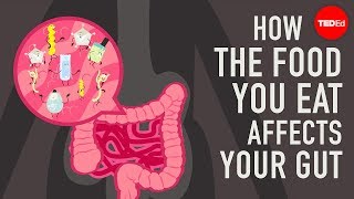 How the food you eat affects your gut  Shilpa Ravella [upl. by Phillipe32]