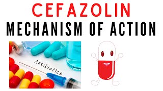 Cefazolin  Uses mechanism of action [upl. by Adliw]