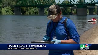 E coli bacteria levels rising in area rivers Sacramento County says its still OK to swim [upl. by Dorion42]