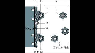 Hydrogen evolution electrochemical impedance explained [upl. by Enyala47]