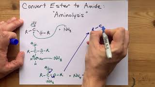 Converting Esters to Amides quotAminolysisquot [upl. by Killy516]