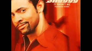 SHAGGY amp RIKROK  IT WASNT ME VOCAL  IT WASNT ME INSTRUMENTAL [upl. by Kosel343]