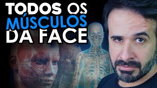 APRENDA TODOS OS MÚSCULOS DA FACE DE UMA VEZ SÓ [upl. by Pallaton189]