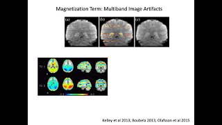 Biophysical Basis of fMRI Noise [upl. by Dlonyar]