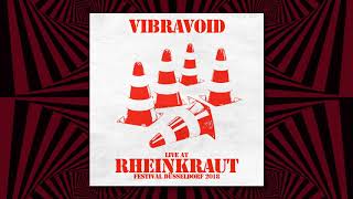 Vibravoid  Live At Rheinkraut Festival 2018 [upl. by Ressan]