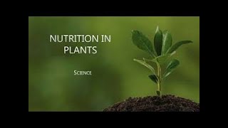 Introduction  Nutrition in Plants  Class 7  Study With Aksh [upl. by Dodds]