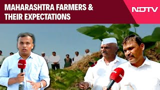 Maharashtra Elections 2024  Battle For Maharashtra Which Alliance Will Soybean Farmers Choose [upl. by Bordy]