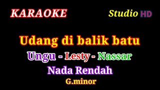 UDANG DIBALIK BATU  KARAOKE NADA RENDAH  Ungu Lesty nassar [upl. by Eirojram]