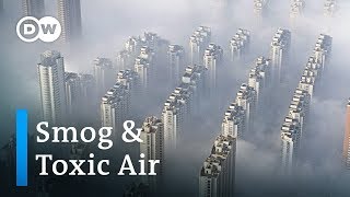 How much does smog and air pollution shorten our lives  DW News [upl. by Keram442]