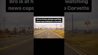 Corvette loses cops in 15 seconds🤯youtubeshorts policechase corvette [upl. by Elleda39]