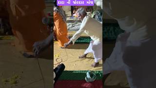 દાદાની જોરદાર મોજ shortsfeed shorts [upl. by Kenji]