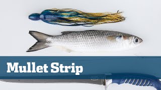 Ho To Mullet Strips  Florida Sport Fishing TV  Catch More King Mackerel Wahoo With Fresh Bait [upl. by Chiaki564]