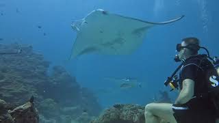 Maldives 2022 Manta Point Rasdhoo with Family divers [upl. by Sidran]