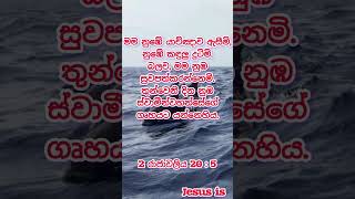 නුඹේ යාච්ඤාව ඇසීමි නුඹේ කඳුලු දුටිමි බලව මම නුඹ සුවපත්කරන්නෙමි2 රාජාවලිය 20 5Jesusisthewey [upl. by Morita]