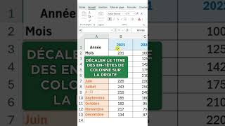 Comment Ajouter une Ligne Diagonale dans une Cellule Excel [upl. by Sonni]