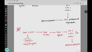 Plant photoreceptor  csirnet [upl. by Nadiya705]