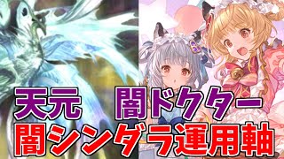 【グラブル】天元たる六色の理 闇ドクター バレンタインシンダラ運用軸 [upl. by Christos]