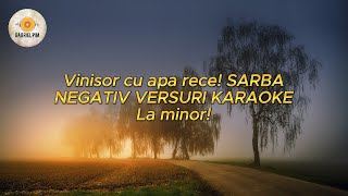 Vinisor cu apa rece SARBA NEGATIV VERSURI KARAOKE La minor [upl. by Rramed]