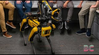 Boston Dynamics’ robot dog Spot can now ‘play fetch’ [upl. by Auot]