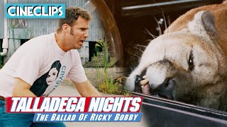 Getting Attacked By A Cougar  Talladega Nights  CineStream [upl. by Blase945]