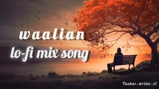 waalian lofi mix song lofi sad heart touching song lyrics Panjab lofi song TusharWriterx1 [upl. by Krawczyk982]