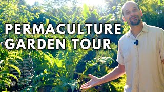 Permaculture Garden Tour YEAR 12 [upl. by Bush]