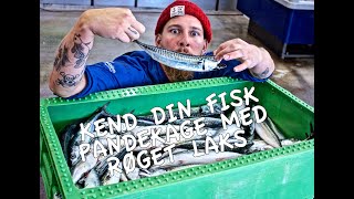 Kend din Fisk  Pandekage med røget laks [upl. by Sparrow]