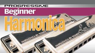 How to Play Harmonica  Harmonica Lessons for Beginners [upl. by Onabru]