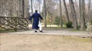 Mus  Tai Chi Chen Lao Jia 74 movimientos  Muceda  Madrid 2014 [upl. by Ellmyer]