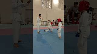 Combat Karate kids taekwondo karate sports [upl. by Dasi33]