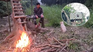 Build a survival shelter in a tree to avoid wild animals  Hut Bushcraft and steamed fish [upl. by Albers]