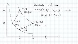 Homothetic preferences [upl. by Latrena]