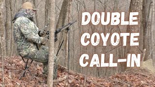 Double Coyote CallIn [upl. by Berstine941]