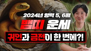 2024년 갑진년 양력 5 6월 뱀띠 운세 두 번 다시 없을 횡재수가 옵니다  89년생 77년생 65년생 53년생 [upl. by Scheer160]