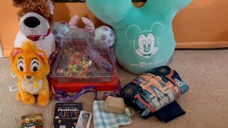 My Disney World Haul January 2024 [upl. by Enifesoj]