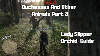 RDR2  Duchesses And Other Animals Part 3  Lady Slipper Orchid Guide [upl. by Martz]